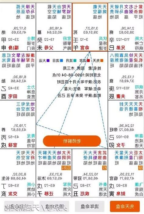 紫微鬥數 命盤怎麼看